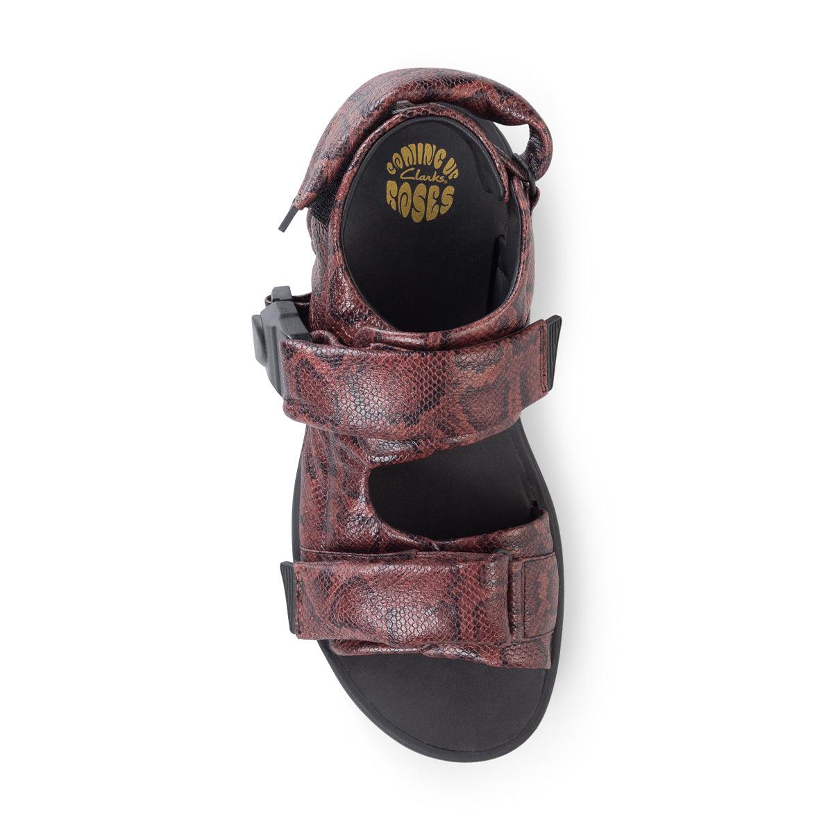 + Martine Rose Sandal 'Brown Snake' - Image 3