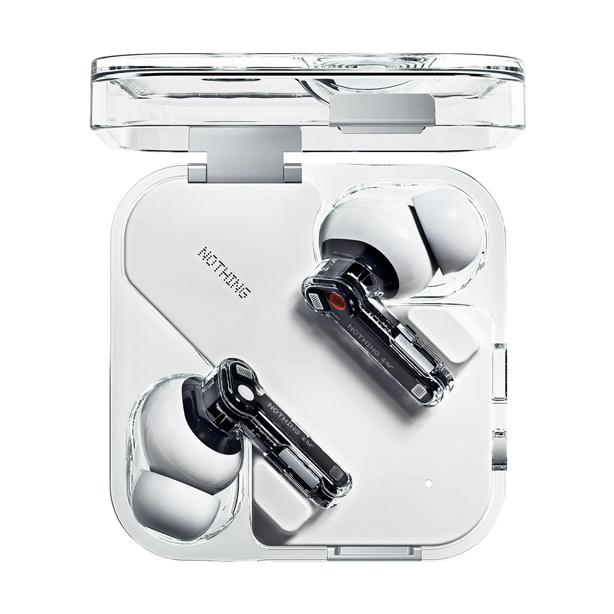 Ear 'White' - Image 7